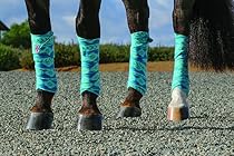 Professionals Choice Polo Wrap, Tribal Mint
