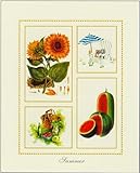 Summer HIGH QUALITY MUSEUM WRAP CANVAS Print Santa 16x20