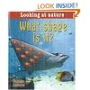 What Shape Is It? (Looking at Nature)