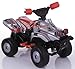 Toys : Feberquad Leopard 6v Battery Powered Ride On Quad Bike