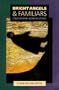 Bright Angels & Familiars: Contemporary Mormon Stories