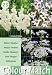 Colour Collection Summer Bulbs - White (Pack of 25)