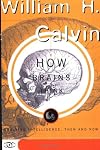 How Brains Think
