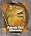 Animals That Hibernate