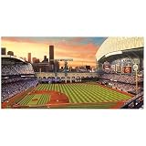 Good Sports Art Houston Astros Rebirth in Houston Lithograph