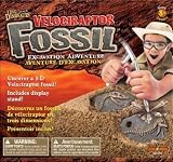 Velociraptor Fossil Excavation