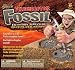 Velociraptor Fossil Excavation
