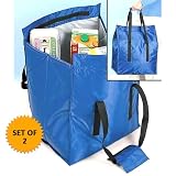 Insulated Shopping Bag (Set of 2)