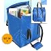 Insulated Shopping Bag (Set of 2)