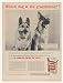 1956 German Shepherds Gaines Dog Meal Photo Print Ad