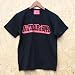 【赤兎馬】It's TRAP of 孔明/それは孔明の罠だ！Ｔシャツ　三国志