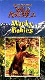 Marty Stouffer`s Wild America: Wacky Babies [VHS Video]