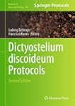 Dictyostelium discoideum Protocols
