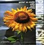 Vol. 1-Pickin' on Crosby Stills N