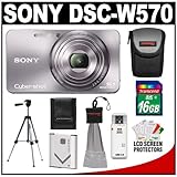 Sony Cyber-Shot DSC-W570 Digital Camera (Silver) with 16GB Card + Battery + ....