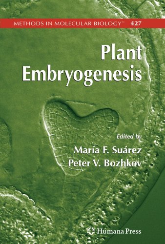 plant embryogenesis methods in molecular biology