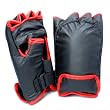 Premium Boxing Gloves for Nintendo Wii Remote and Nunchuk