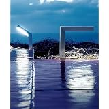 Buy 45 Adjustable Fluorescent 2 outdoor light - teak, 220 - 240V (for use in...