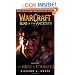 Warcraft: War of the Ancients #1: The Well of Eternity