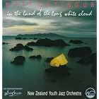 In the Land of the Long White Cloud by Matt Catingub