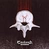 Bild des Albums von Enslaved