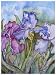 Iris Flower Fine Art Print From an Original Watercolor Painting of Purple Irises