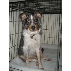 Midwest Quiet Time Pet Bed