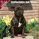 Eigenschaften Avonside Publishing Ltd.  / Kalender 2009 Staffordshire Bullterrier - Staff