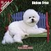 2009 Bichon Frise Wall Calendar