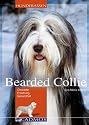 Bearded Collie: Charakter, Erziehung, Gesundheit