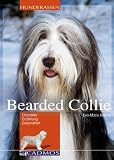 Bearded Collie: Charakter, Erziehung, Gesundheit