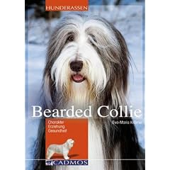 Bearded Collie: Charakter, Erziehung, Gesundheit