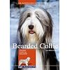 Bearded Collie: Charakter, Erziehung, Gesundheit
