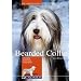 Bearded Collie: Charakter, Erziehung, Gesundheit