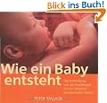 Wie ein Baby entsteht: Die Entwicklung von der Empf�ngnis bis zur Geburt in sensationellen Bildern