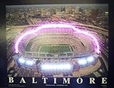 Baltimore Ravens Stadium LED Neon Sign - NFL