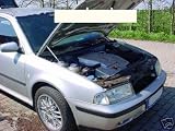 Produkt-Bild: Motor Haubenlifter Skoda Octavia 1U / 1U5, 96-2004 (Paar) Hoodlift / Motorhaubenlifter (WES.Tuning)