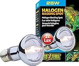 UPC 015561221979 product image for Exo Terra Sun Glo Daylight Halogen Lamp, 25-Watt | upcitemdb.com