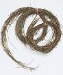 Pack of 2 Tuscan Winery Decorative Grapevine Twig Branch Garlands 15' - Unlit