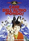 Cani DellAltro Mondo
