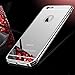For iPhone 6 Plus Case, Roybens Luxury Metal Air Aluminum Bumper Detachable + Mirror Hard Back Case 2 in 1 Cover Ultra-Thin Frame for Apple iPhone 6 Plus(5.5) - Retail Packaging(Silver)