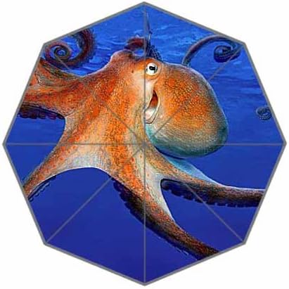 POOKOO! Best Custom Cute Animal Octopus Compact 43.5 Inch Foldable Umbrella, Women Umbrella,Men Umbrella,Travel Umbrella,Children Umbrella!Good gift!