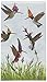 Paperproducts Design PPD 1412873 Meadow Buzz Guest Towels/Paper Napkins, 5