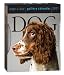 Dog Page-A-Day Gallery Calendar 2011