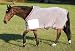 RIBBON FLY SHEET - White - 64