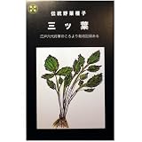 在来固定種　伝統野菜の種「三ツ葉〔みつば〕」5ml約1050粒　畑懐〔はふう〕