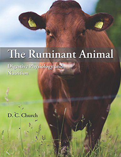 the ruminant animal digestive physiology and nutrition