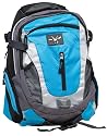 Mad Cow Mens Steer Backpack Navy