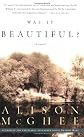 Was It Beautiful?: A Novel