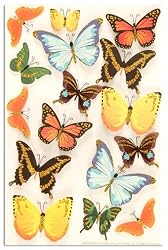 Martha Stewart Crafts Butterfly Stickers By The Package